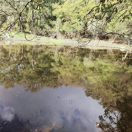 Casa El Cerro Villa กอร์เตส เด ลา ฟรอนเตรา ภายนอก รูปภาพ